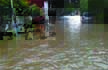 Chennai rains kill 12 in eight Days; Schools to remain shut today